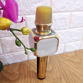 Micro karaoke Bluetooth Kèm loa Sd10 chính hãng
