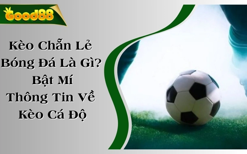 Kèo Chẵn Lẻ Bóng Đá Là Gì? Bật Mí Thông Tin Về Kèo Cá Độ