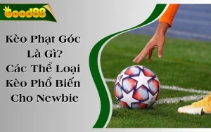 Kèo Phạt Góc Là Gì? Các Thể Loại Kèo Phổ Biến Cho Newbie