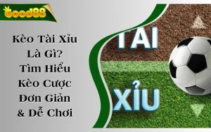 Kèo Tài Xỉu Là Gì? Tìm Hiểu Kèo Cược Đơn Giản & Dễ Chơi