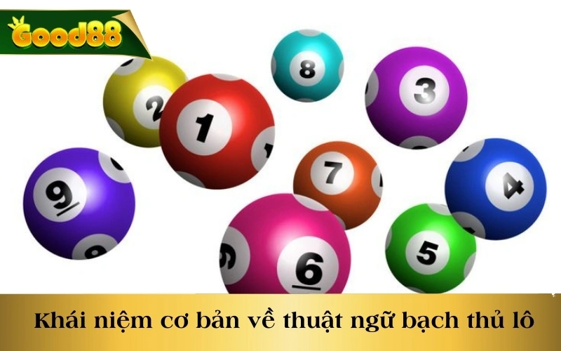 Khái niệm cơ bản về thuật ngữ bạch thủ lô là gì