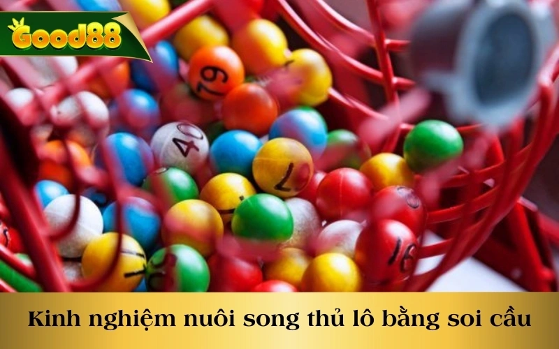 Kinh nghiệm nuôi song thủ lô bằng phương pháp soi cầu