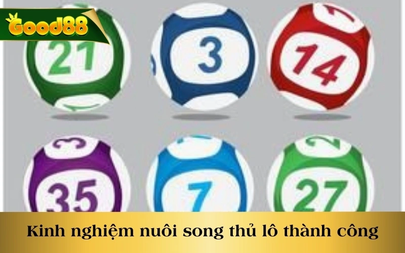 Kinh nghiệm nuôi song thủ lô thành công cần lưu ý