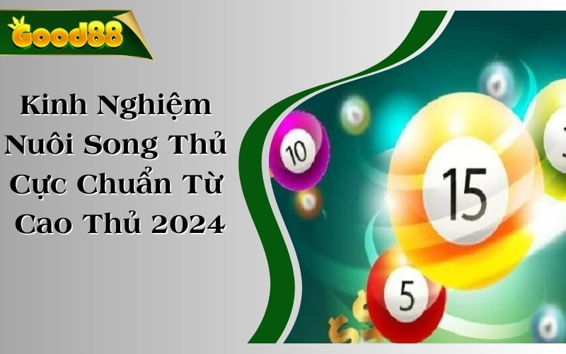 Kinh Nghiệm Nuôi Song Thủ Lô Cực Chuẩn Từ Cao Thủ 2024