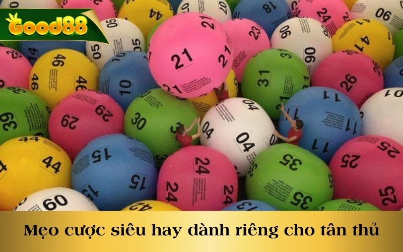 Mẹo đánh cược siêu hay dành riêng cho tân thủ