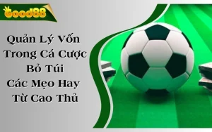 Quản Lý Vốn Trong Cá Cược - Bỏ Túi Các Mẹo Hay Từ Cao Thủ