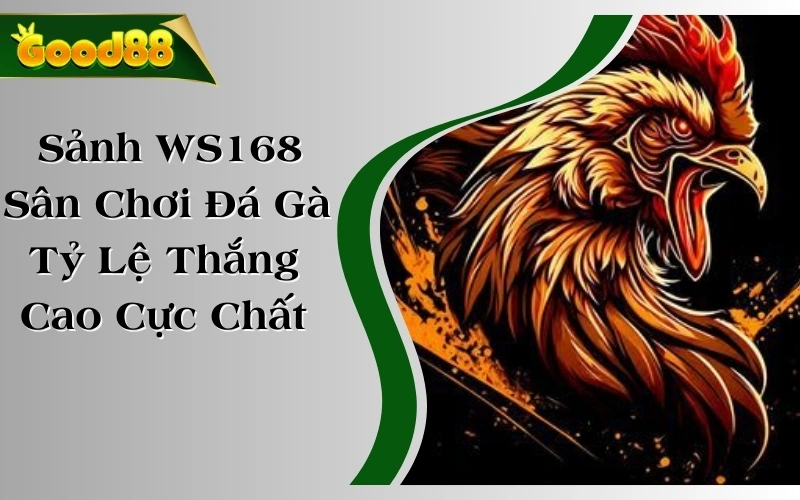 Sảnh WS168 - Sân Chơi Đá Gà Tỷ Lệ Thắng Cao, Thưởng Cực Chất