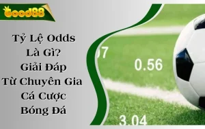 Tỷ Lệ Odds Là Gì? Giải Đáp Từ Chuyên Gia Cá Cược Bóng Đá