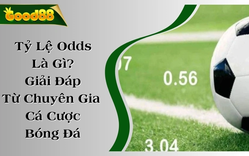 Tỷ Lệ Odds Là Gì? Giải Đáp Từ Chuyên Gia Cá Cược Bóng Đá